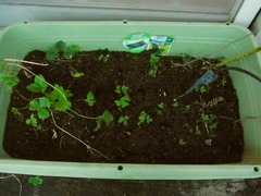 R0058720_˥˥庬դ_20131104