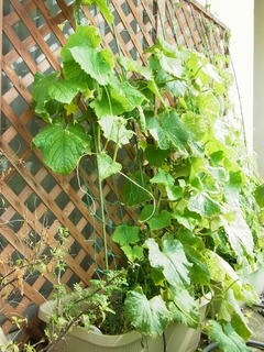 R0050899_���奦��_20120630