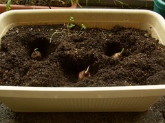 R0042950_Τ_20110605