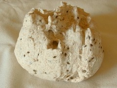 R0043738_�ǥ��륷���ɤ�ѥ����Ϥ��������_20110710