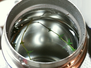 R0013139_サーモスマグでタイムティー_20081203