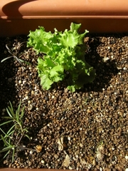 R0015053_�հ���˽���ﳲ_�쥿��2���ü�