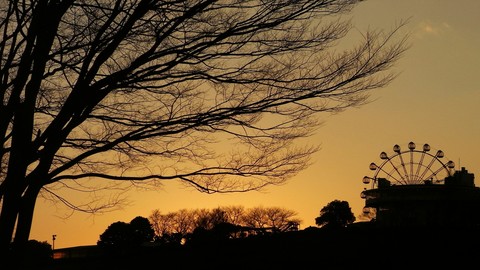 R0014351_マザー牧場_冬の夕暮れ