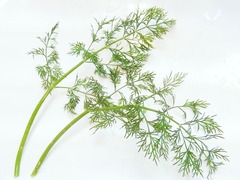 R0047539_�ǥ���_20120114