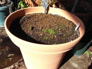 R0014177_塼åפΥץ󥿡