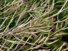 R0061170_һڤμϤ_20140621