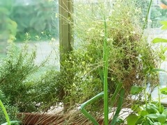 R0046286_����Х���_20111112