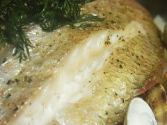 R0047548_����Υ������ѥåĥ��ǥ�����̣_20120114