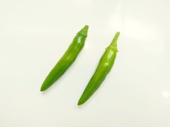 R0044341_鷹の爪青唐辛子収穫_20110802