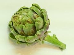 R0060954_�����ƥ����硼���μ���_20140601