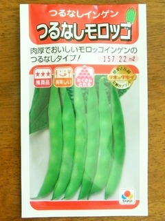 R0041708_つるなしモロッコインゲン種袋表_20110424
