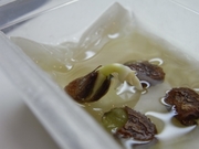 R0016571_ゴーヤの種を水につける_20090416