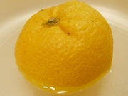 R0013649_�߻�Τ椺��