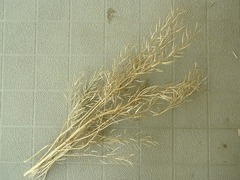 R0061465_һڤμϤ_20140720