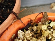 R0019046_��������ҳ�����_20090710