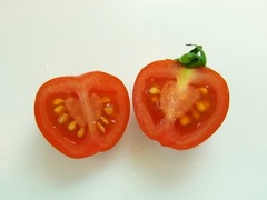 R0043569_�ߥ˥ȥޥȥ٥꡼�����ǥ�����_20110705