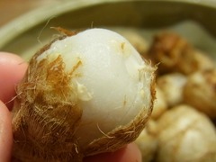 R0046129_Τ�򤭤̤��Ĥ���य_20111030