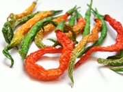 R0029280_����ե봥��Ҥ�Ȥ����餷_20101218