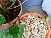 R0018334_��������ҳ���ȭ��_20090613