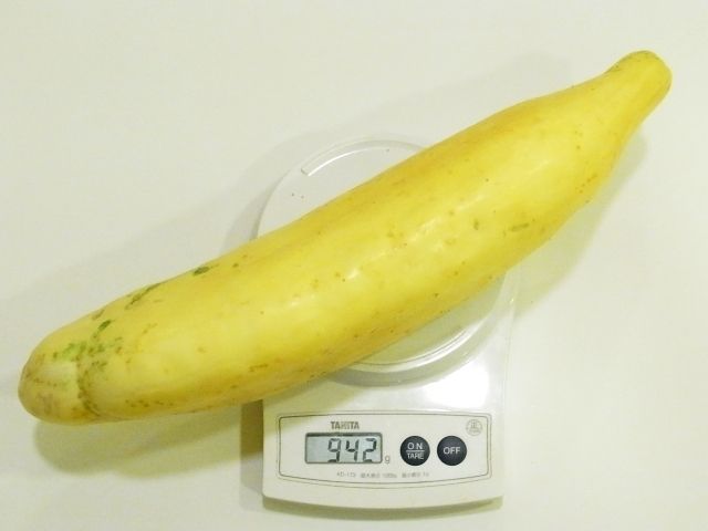 超どでかい黄色いキュウリの塩もみ 鰹節醤油和え Kochan S ベランダ菜園blog マンションガーデニング 家庭菜園 仙台グルメ キャンペーン情報等 超どでかい黄色いキュウリの塩もみ 鰹節醤油和え Kochan S ベランダ菜園blog マンションガーデニング 家庭菜園 仙台グルメ キャンペーン情報等