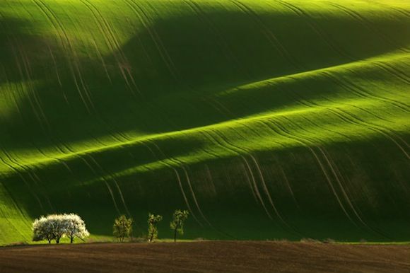 green-fields-of-moravia-2