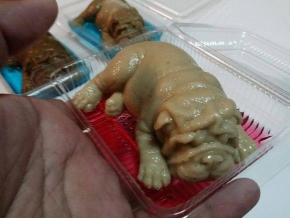 グレートライフ ひえ 濡れた子犬 いえいえ これはプリンです タイ発のリアルすぎる 子犬プリン に衝撃