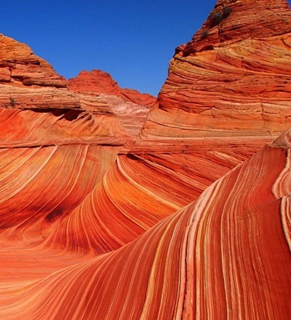 wavewave