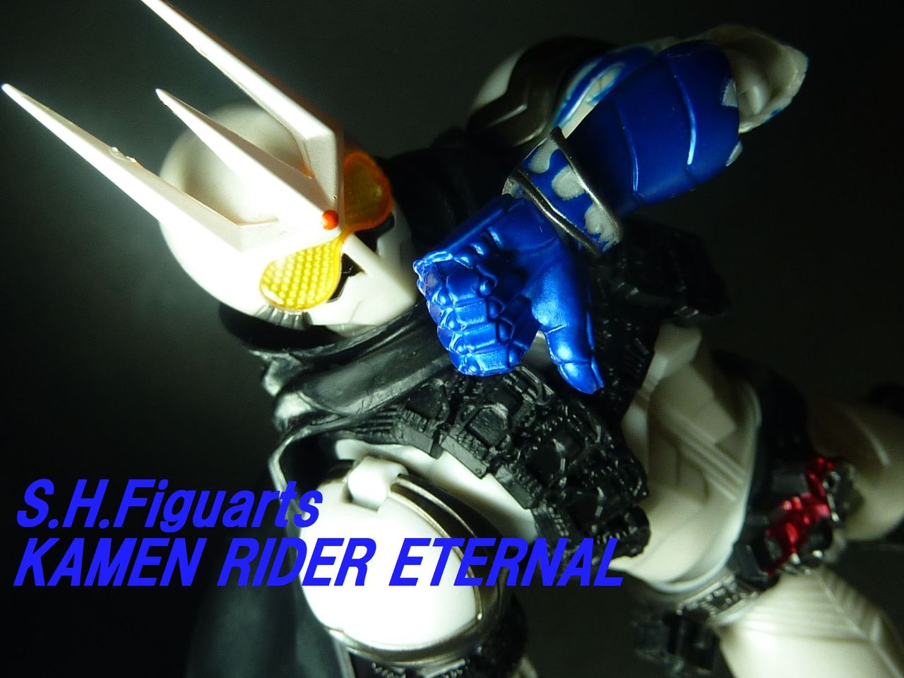 仮面ライダーＷSJGXと仮面ライダーエターナルのフィギュア プレバン限定 HD-Limited 仮面ライダー3 仮面ライダーZX : 御宅家本舗OTAKICK