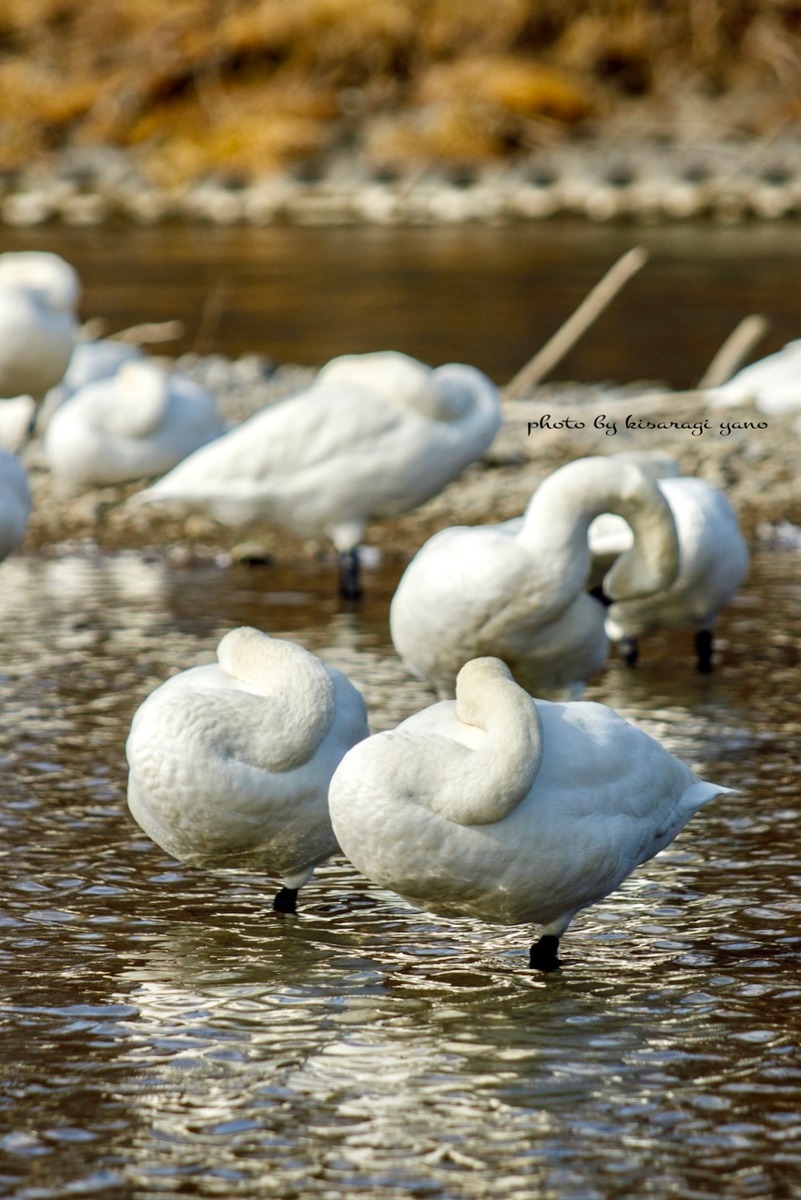 3ECEED76-31D7-4C88-B532-1F3CC433F521