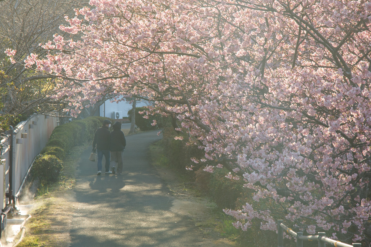 F495CF25-1C36-4459-A2E5-74E120C7F0A8