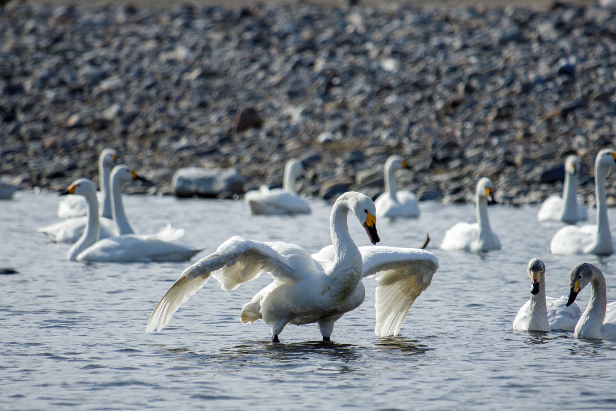 483BE398-4BFB-4AEB-9C7B-69C604A54C8D