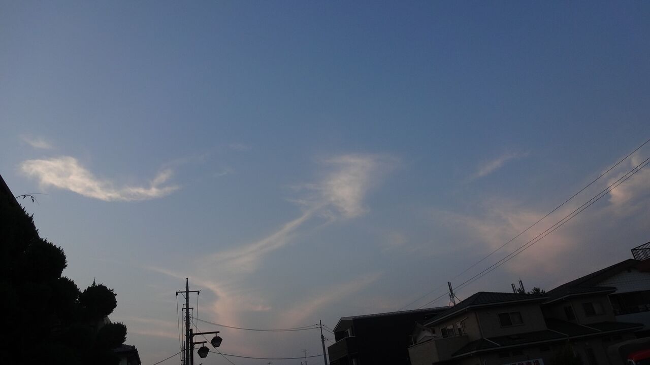Green1fukusawaのblog 22 ユニコーン 巻き毛の尻尾をたなびかせ 綿アメの 雲 飛び越えていった