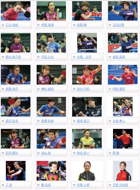 2019春のニッタク契約選手の変化 Greenbayの雑記