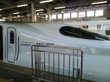 9816486c.jpg