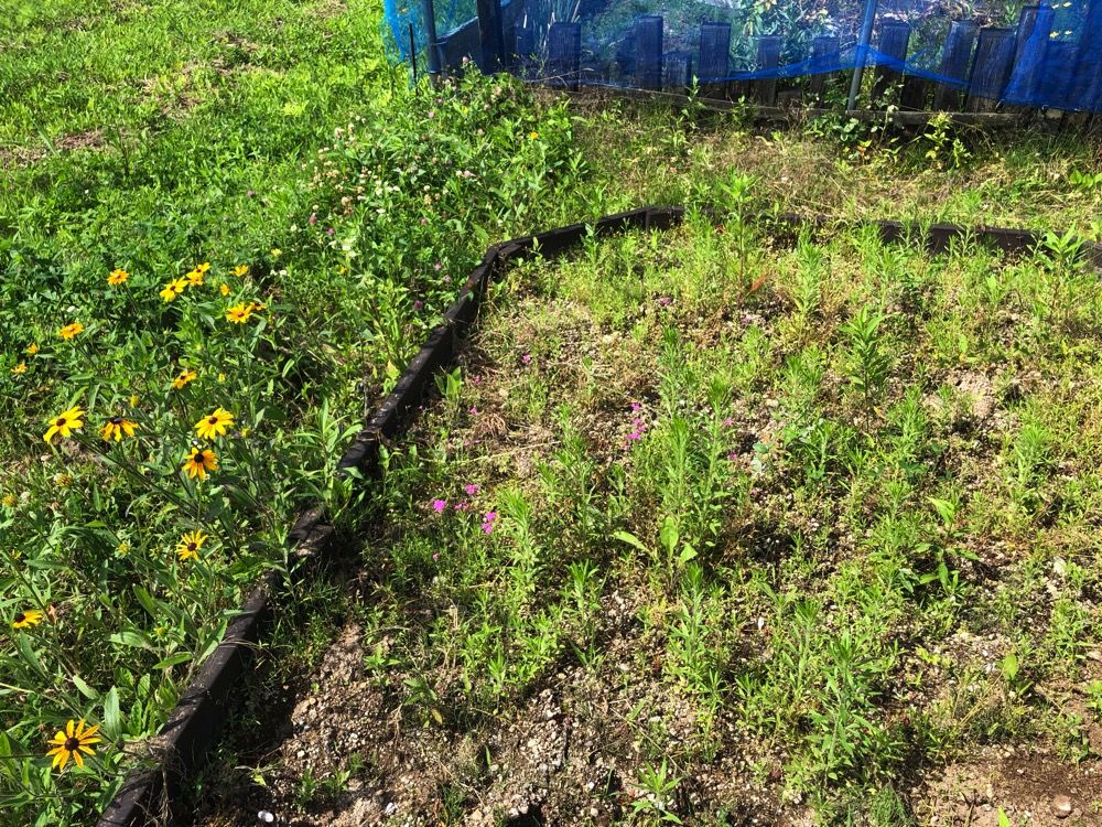 ムサシ 除草バイブレーター の雑草抜きがスゴイ みどりのおと Green Note