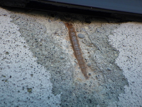 鉄筋サビの研磨完了