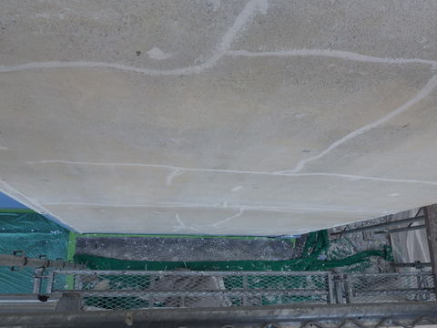 凄いはがれっぷりです