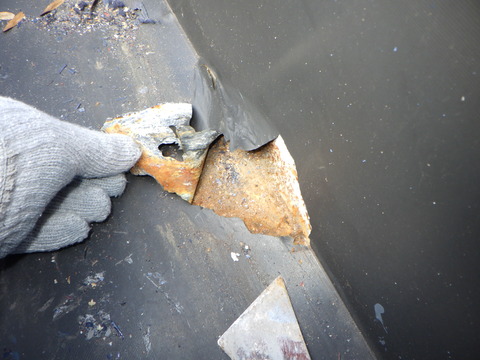 塩ビシートが浮いています