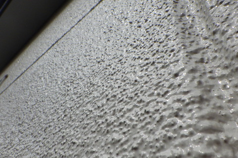 南面でも艶はバッチリ残っています