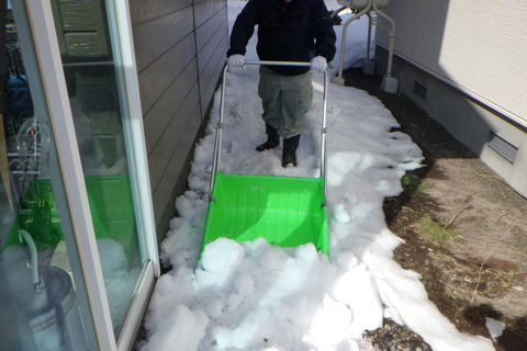 日当たりの良いところに運びます