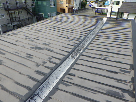 屋根も程度が良かったので錆止めタッチアップです