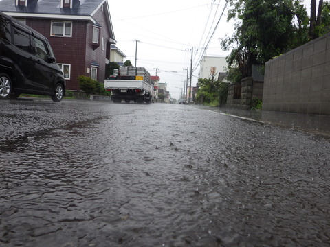 激しい雨でした^^