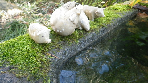 武田神社の名水、姫の井戸！