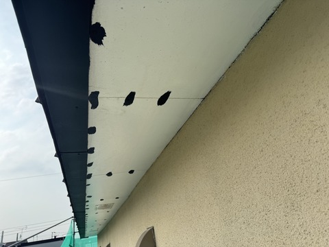 軒天井シーラー塗装後の釘頭サビ止め塗装