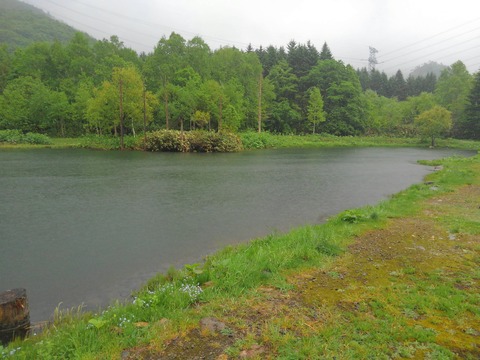 静な湖畔・・・