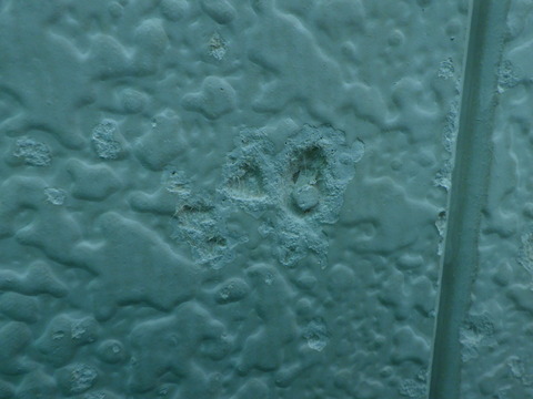 中ぐらいの欠損