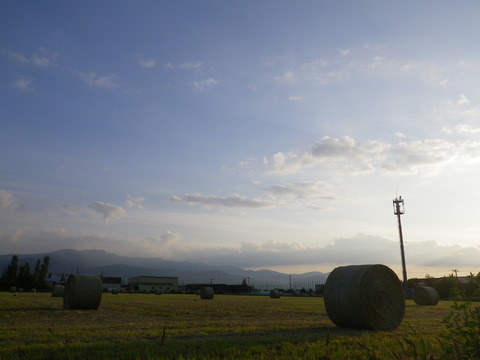 夕暮れの牧草ロール