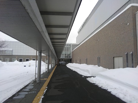 去年と同じ札幌コンベンションセンター