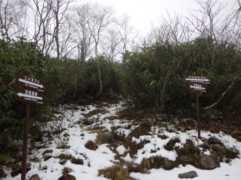 寒々しいニセコイワオヌプリ山
