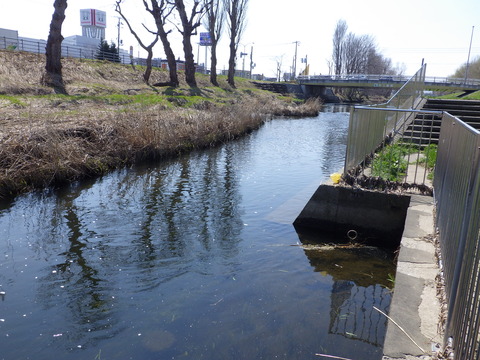 早春の創成川